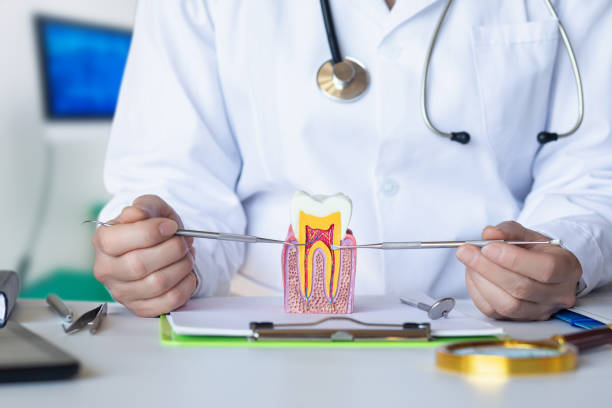 Best Pediatric Emergency Dentist in Lake Of The Woods, IL